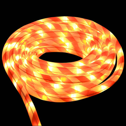 Rope Light with 240 LEDs Warm White 10 m PVC