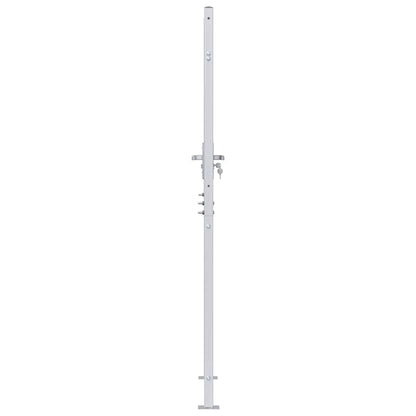 Garden Gate 85 x 174 cm Stainless Steel Silver Lockable