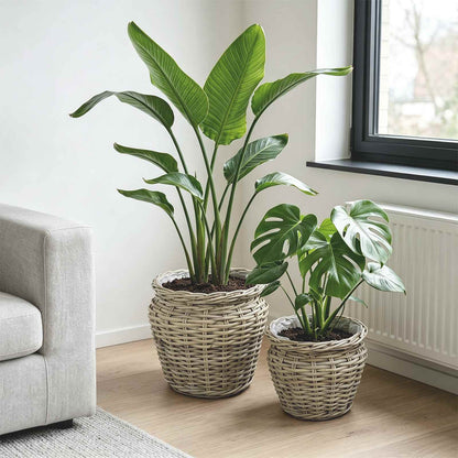 Planter Basket GENDT 2 pcs Natural Grey Kubu Rattan