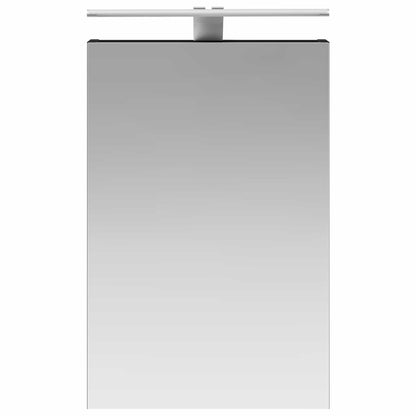 Bathroom Mirror Cabinet with Door Black Oak 40 x 10.5 x 60.5 cm
