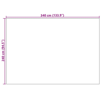 Area Rugs Rectangular PALMERAS Cream 340 x 240 cm Polyester