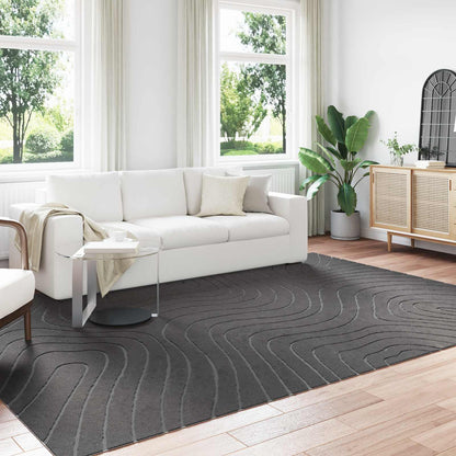 Area Rugs Rectangular PALMERAS Anthracite 280 x 200 cm