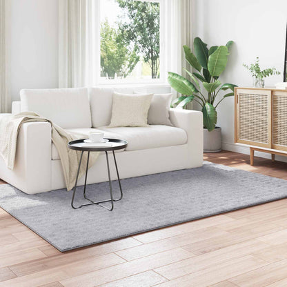 Area Rugs Rectangular SIROLO Grey 200 x 140 cm Polyester