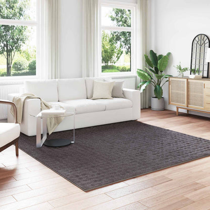 Area Rugs Square SIROLO Anthracite 240 x 240 cm Polyester