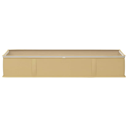 Storage Box with Transparent Top Window 2 pcs Cream
