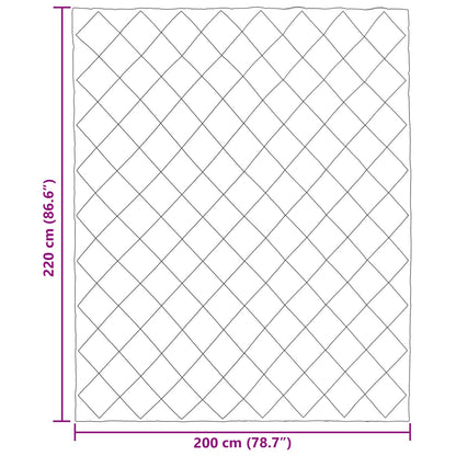 Summer Duvet Anthracite 220 x 200 cm Microfiber