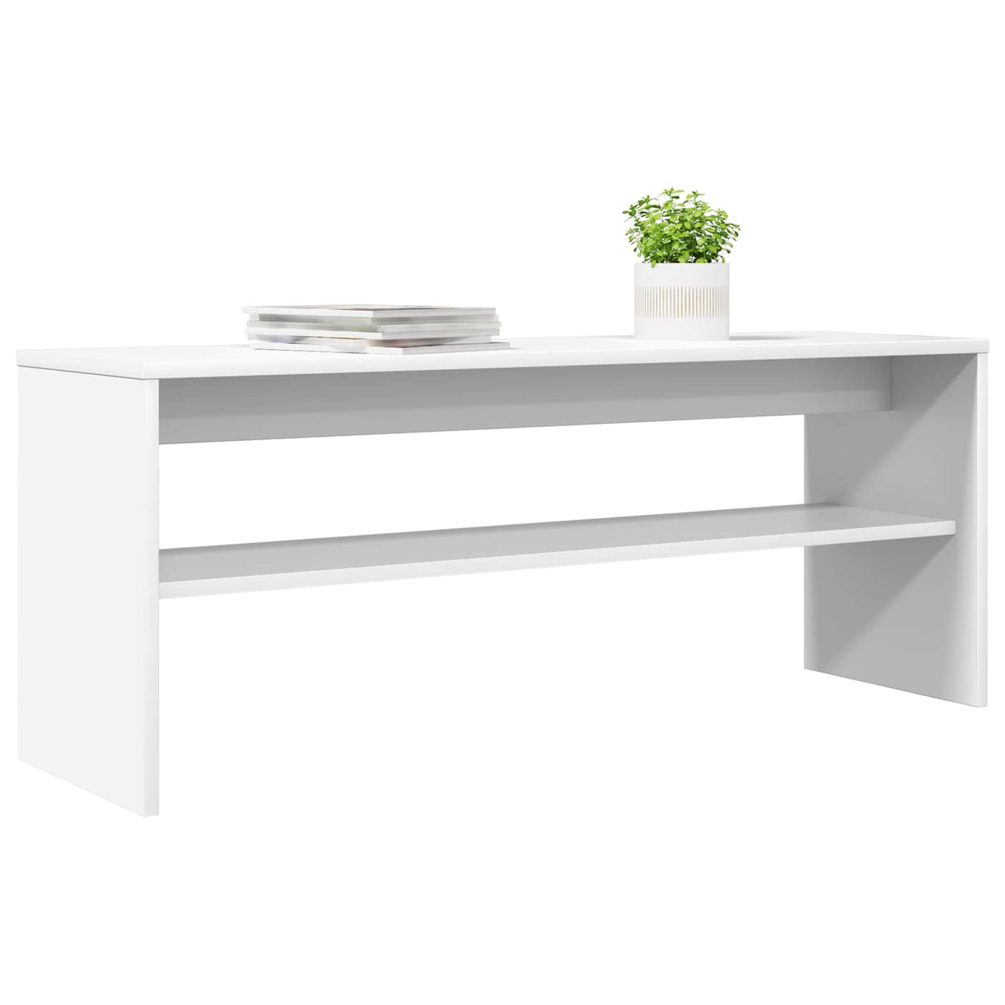 TV Cabinet White 100 x 30 x 40 cm Engineered Wood