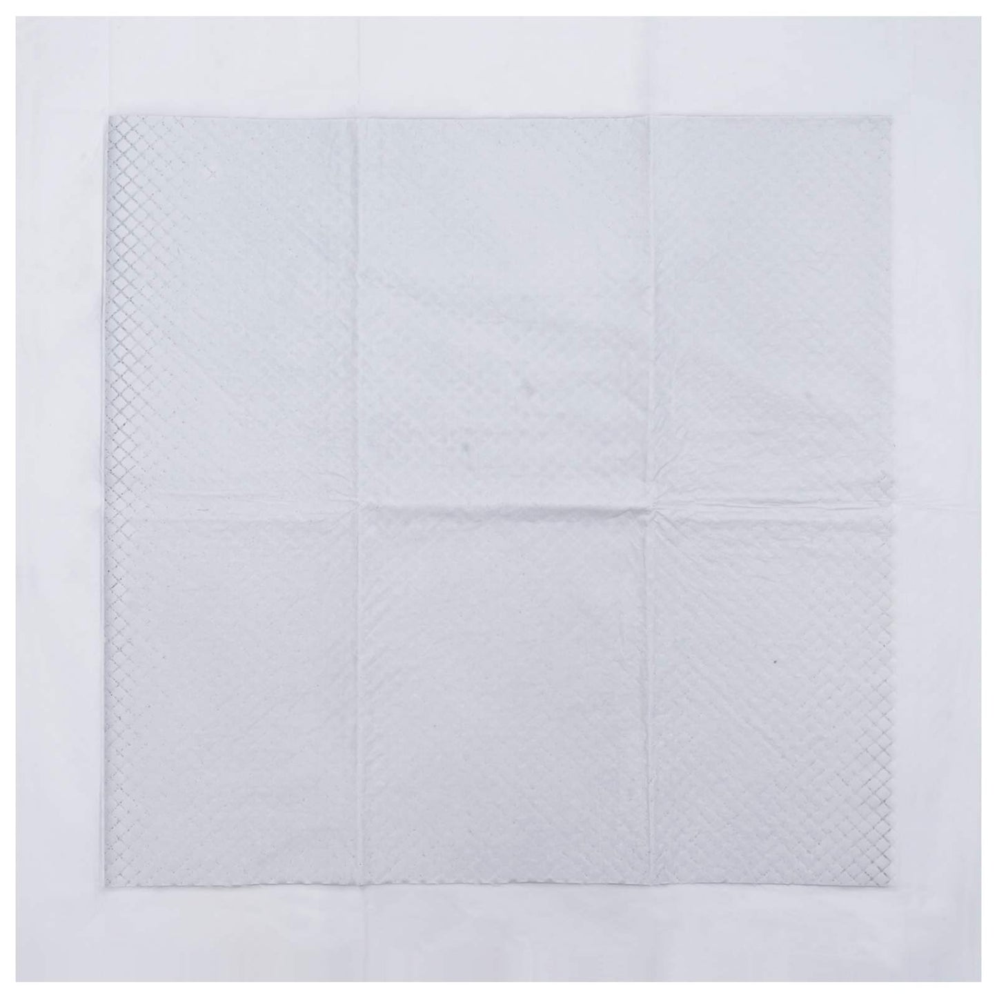 Non-woven Fabric Pet Training Pad 50 pcs 60 x 60 cm