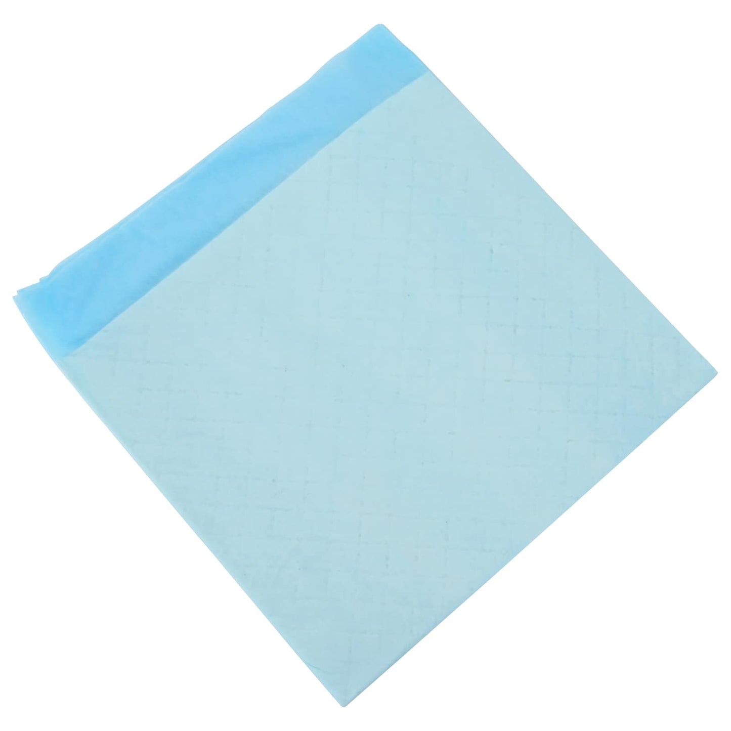 Non-woven Fabric Pet Training Pad 100 pcs Blue and White