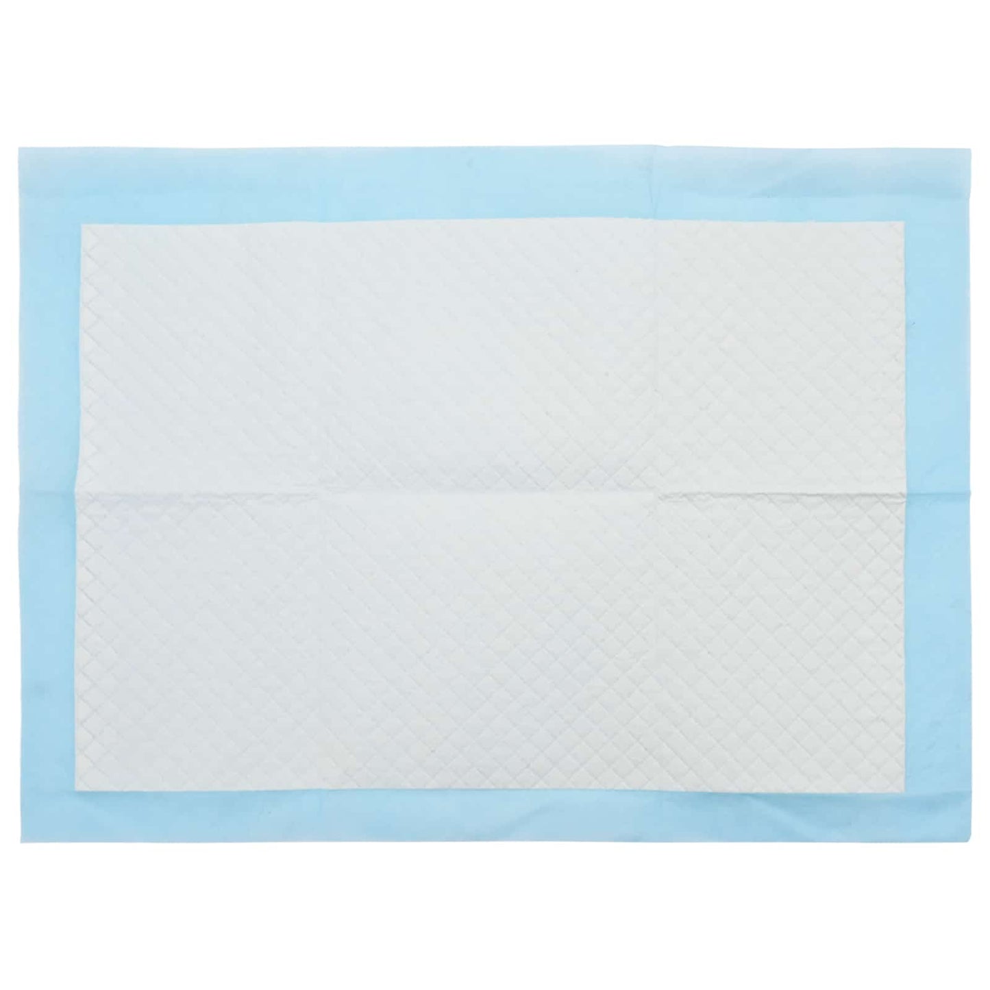 Non-woven Fabric Pet Training Pad 100 pcs Blue and White