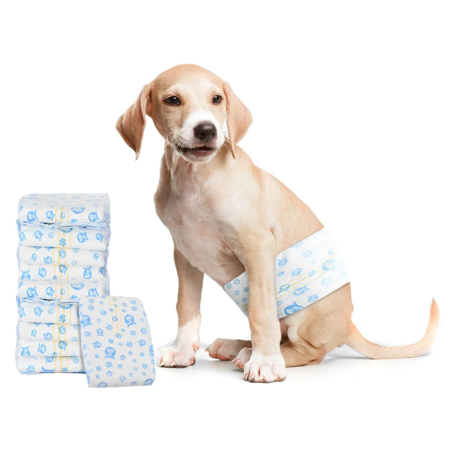 Disposable Dog Diaper Male 30 pcs White M