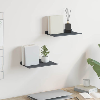 Floating Shelf 2 pcs Anthracite 30 x 18 x 2.5 cm Steel
