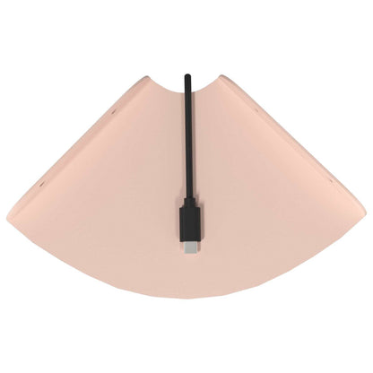 Floating Shelf with Shelf 2 pcs Pink 15 x 15 x 2 cm