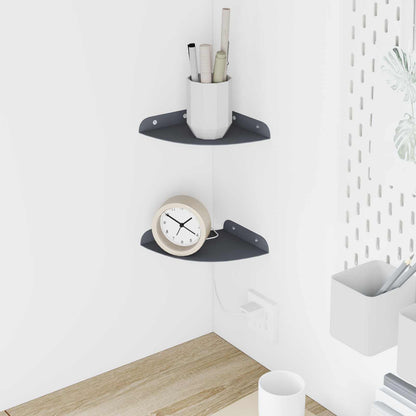 Floating Shelf with Shelf 2 pcs Anthracite 15 x 15 x 2 cm