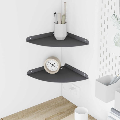 Floating Shelf with Shelf 2 pcs Anthracite 24 x 24 x 2 cm
