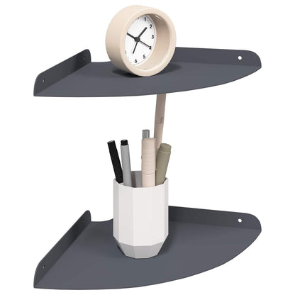 Floating Shelf with Shelf 2 pcs Anthracite 24 x 24 x 2 cm