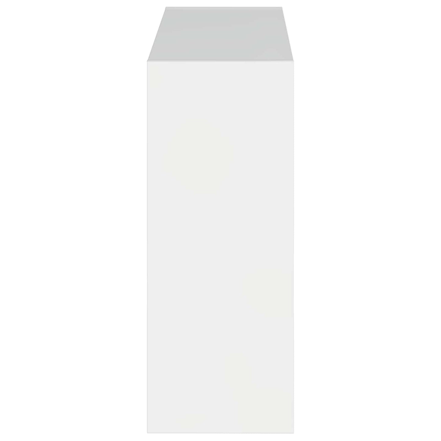 Wall-Mounted Shoe Cabinet ZWOLLE 71 x 17 x 43 cm
