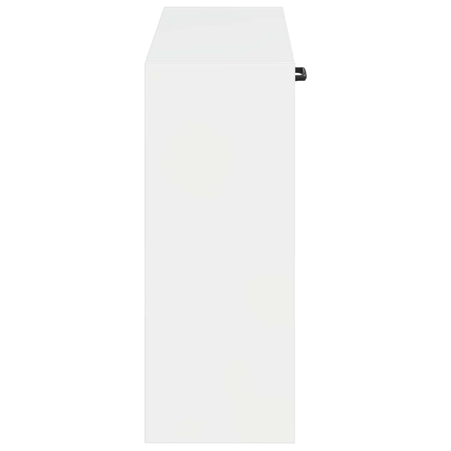 Wall-Mounted Shoe Cabinet HAARLEM 71 x 17 x 43 cm