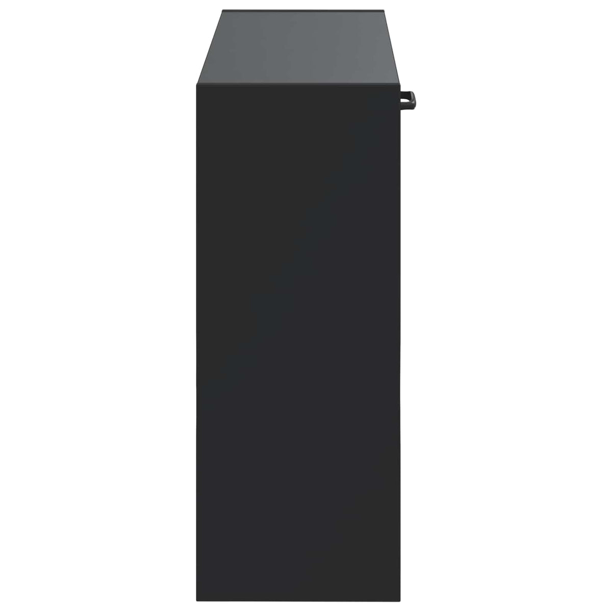 Wall-Mounted Shoe Cabinet UTRECHT 71 x 17 x 43 cm Black
