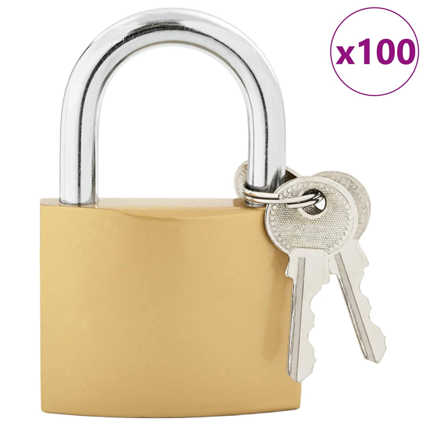 U Lock with Keys Brass 6 x 2 x 9.1 cm Iron