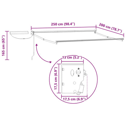 Electric Retractable Awning Frame Anthracite 2.5 x 2 m Steel
