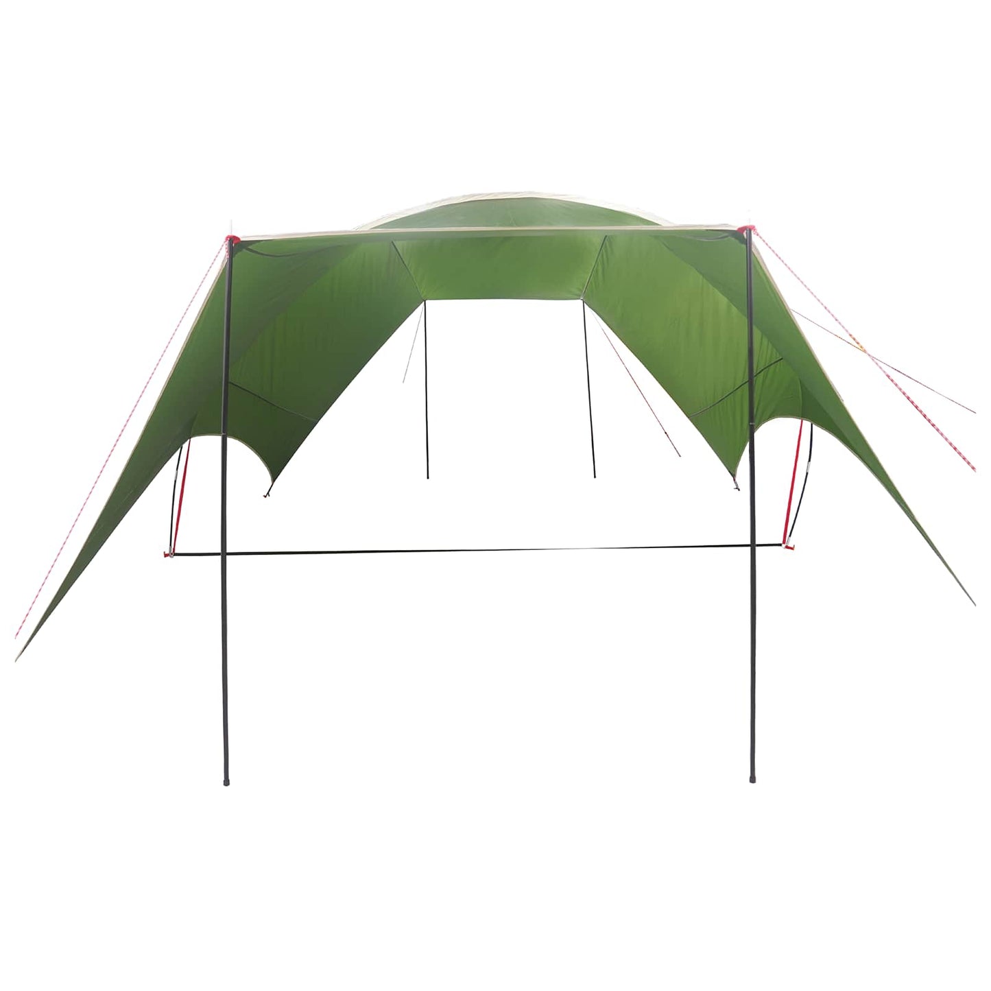 Camping Tarp Water-resistant Green 550 x 400 x 230 cm