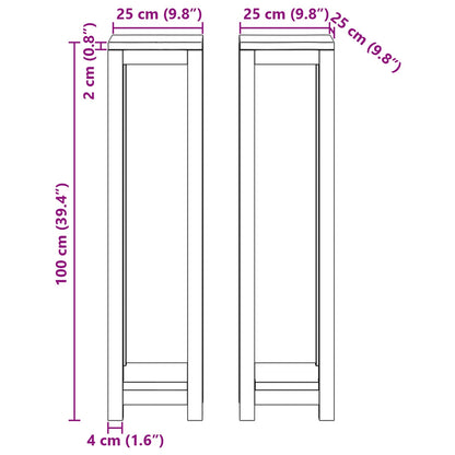 Plant Stand 2 pcs Natural 25 x 25 x 100 cm Solid Teak Wood