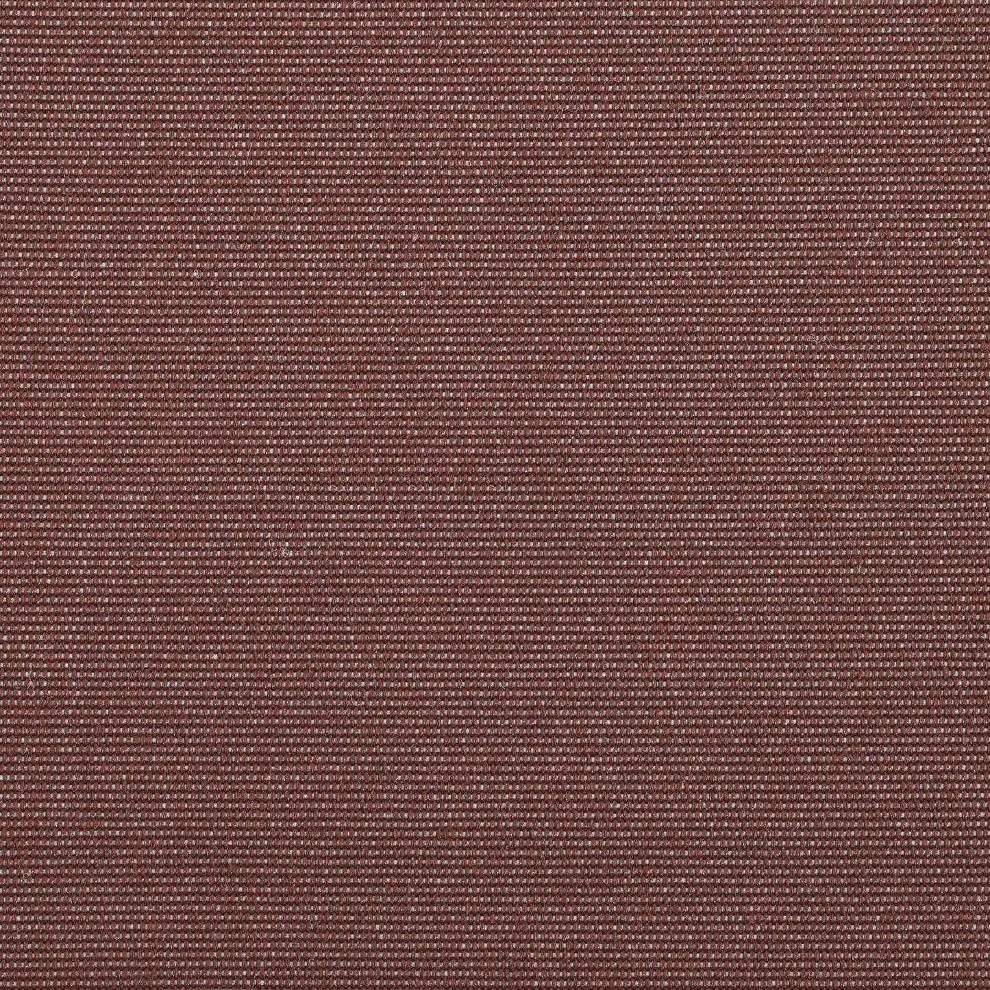 Electric Retractable Awning Brown and Anthracite 5 x 3 m