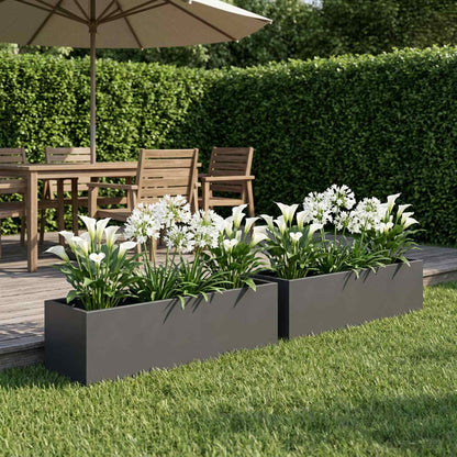 Garden Planter 2 pcs Anthracite 100 x 20 x 20 cm