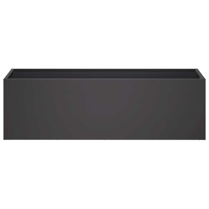 Garden Planter 2 pcs Black 100 x 30 x 30 cm Cold-rolled Steel