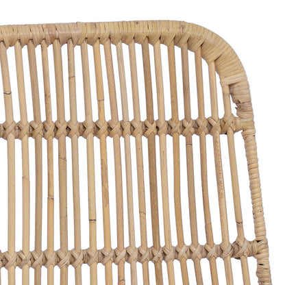 Dinning Chair 2 pcs Natural 41 x 55 x 85 cm Rattan and Steel