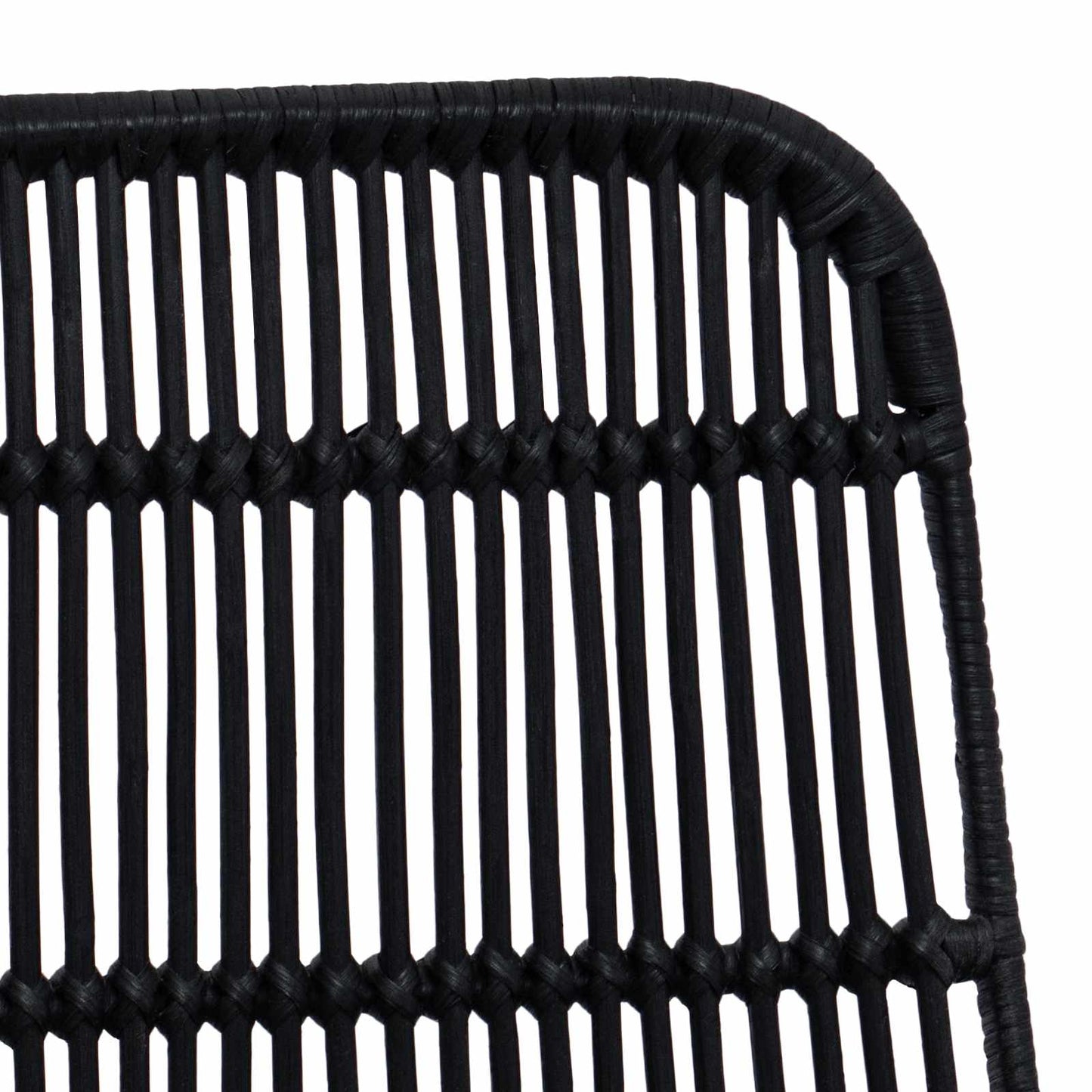 Dinning Chair 2 pcs Black 41 x 55 x 85 cm Rattan and Steel