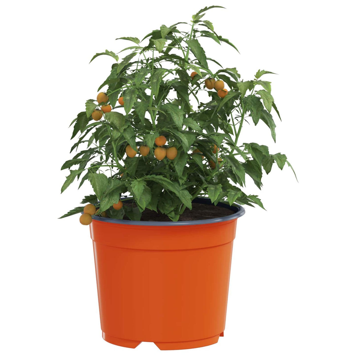 Round Flower Pot 50 pcs Terracotta Ø 10 x 8 cm Plastic