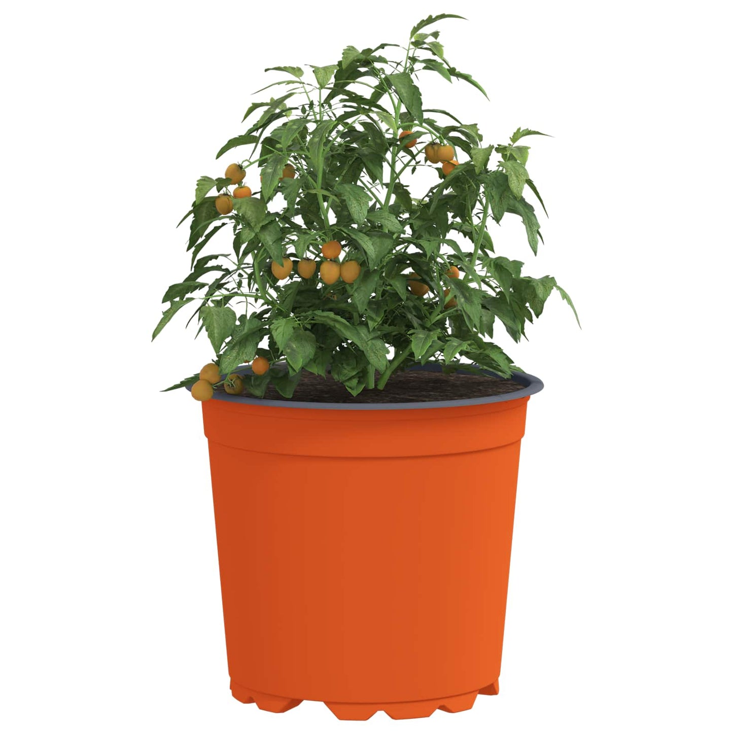 Flower Pot 50 pcs Terracotta Ø 15 x 13 cm Plastic