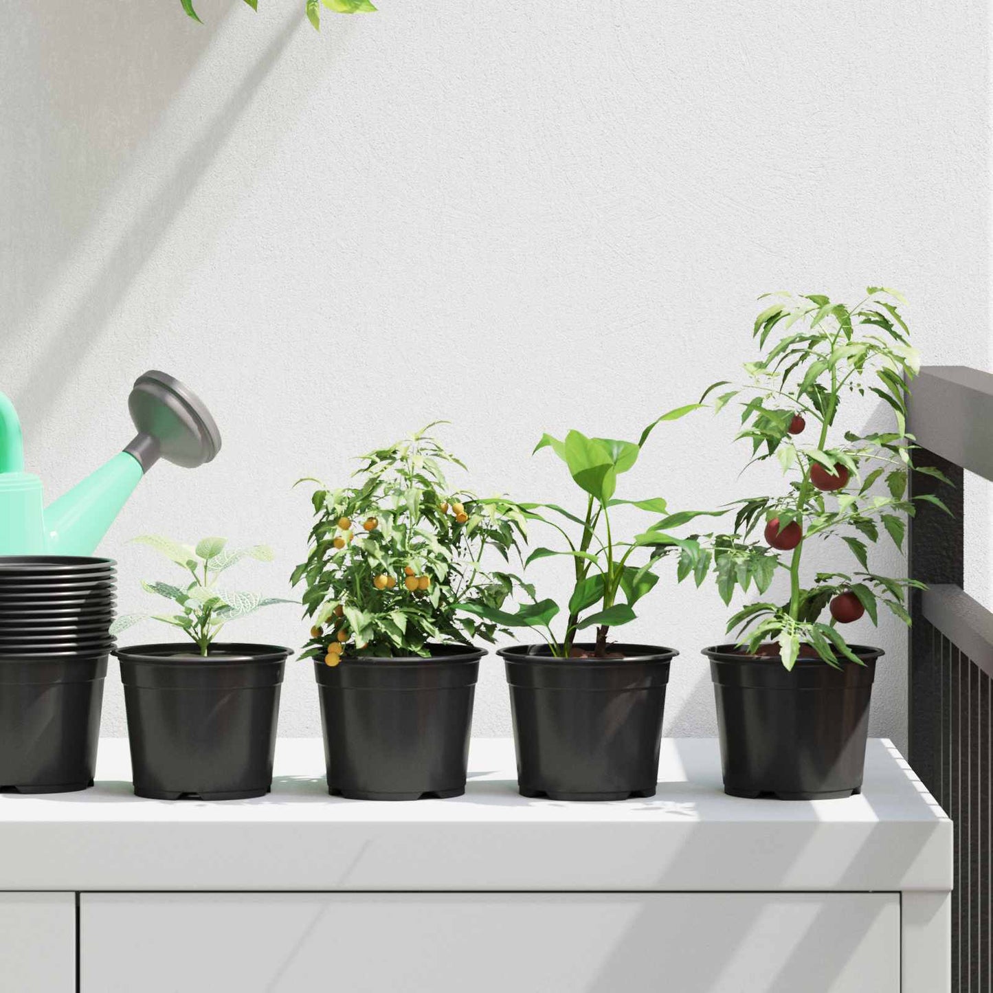 Round Flower Pot 50 pcs Black Ø 10 x 8 cm Plastic