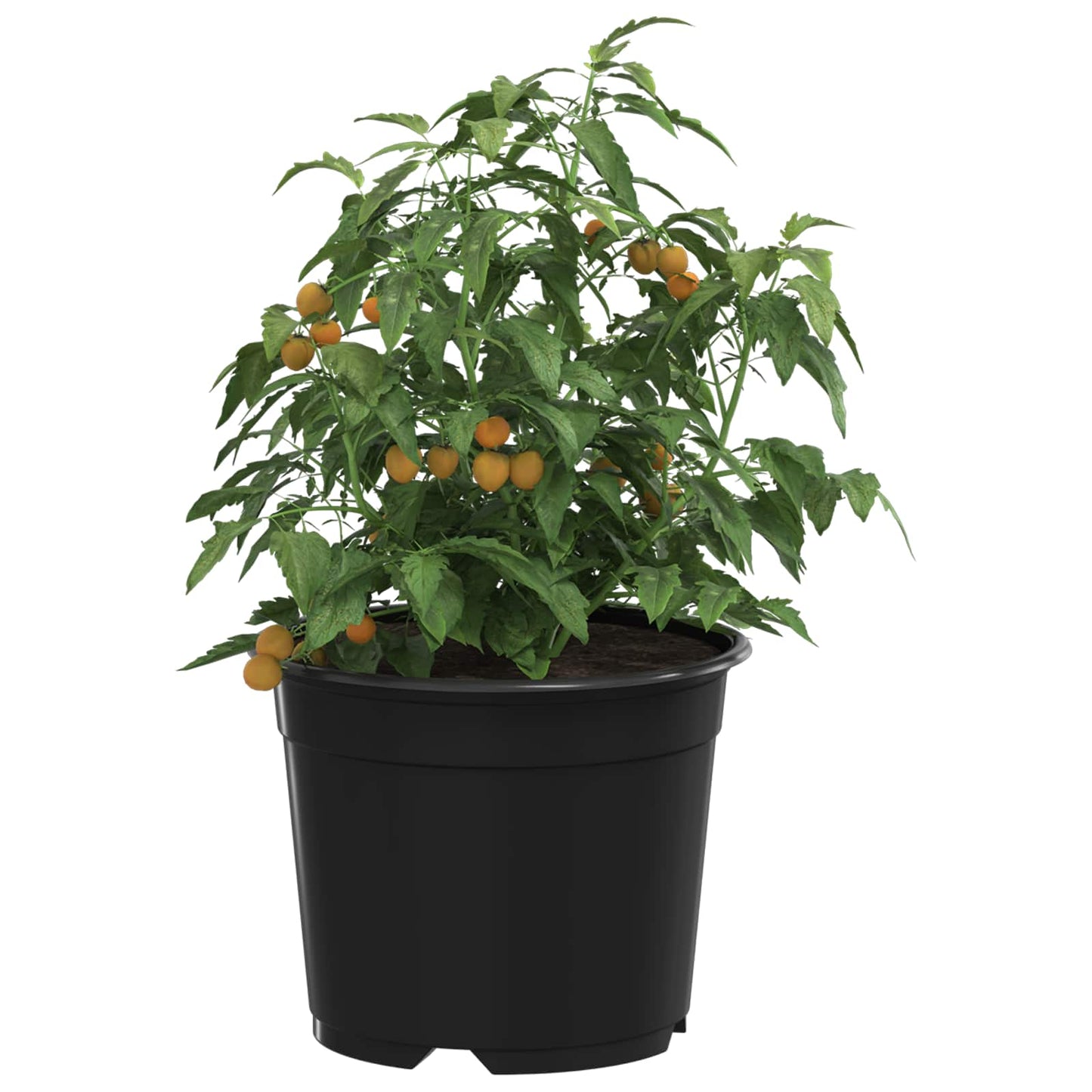 Round Flower Pot 200 pcs Black Ø 10 x 8 cm Plastic
