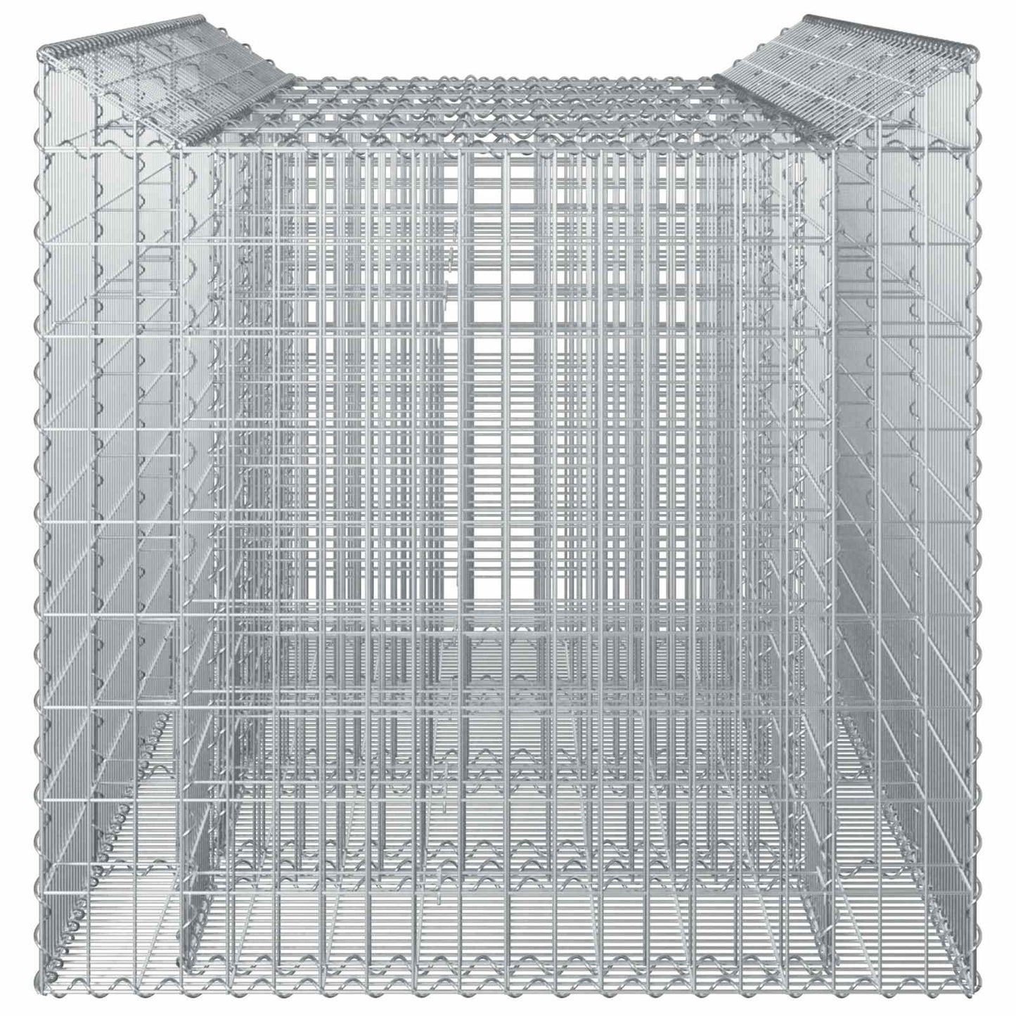 Gabion Raised Bed 2 pcs 200 x 100 x 100 cm Galvanised Steel