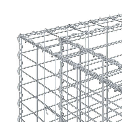 Gabion Raised Bed 2 pcs Silver 250 x 50 x 80 cm
