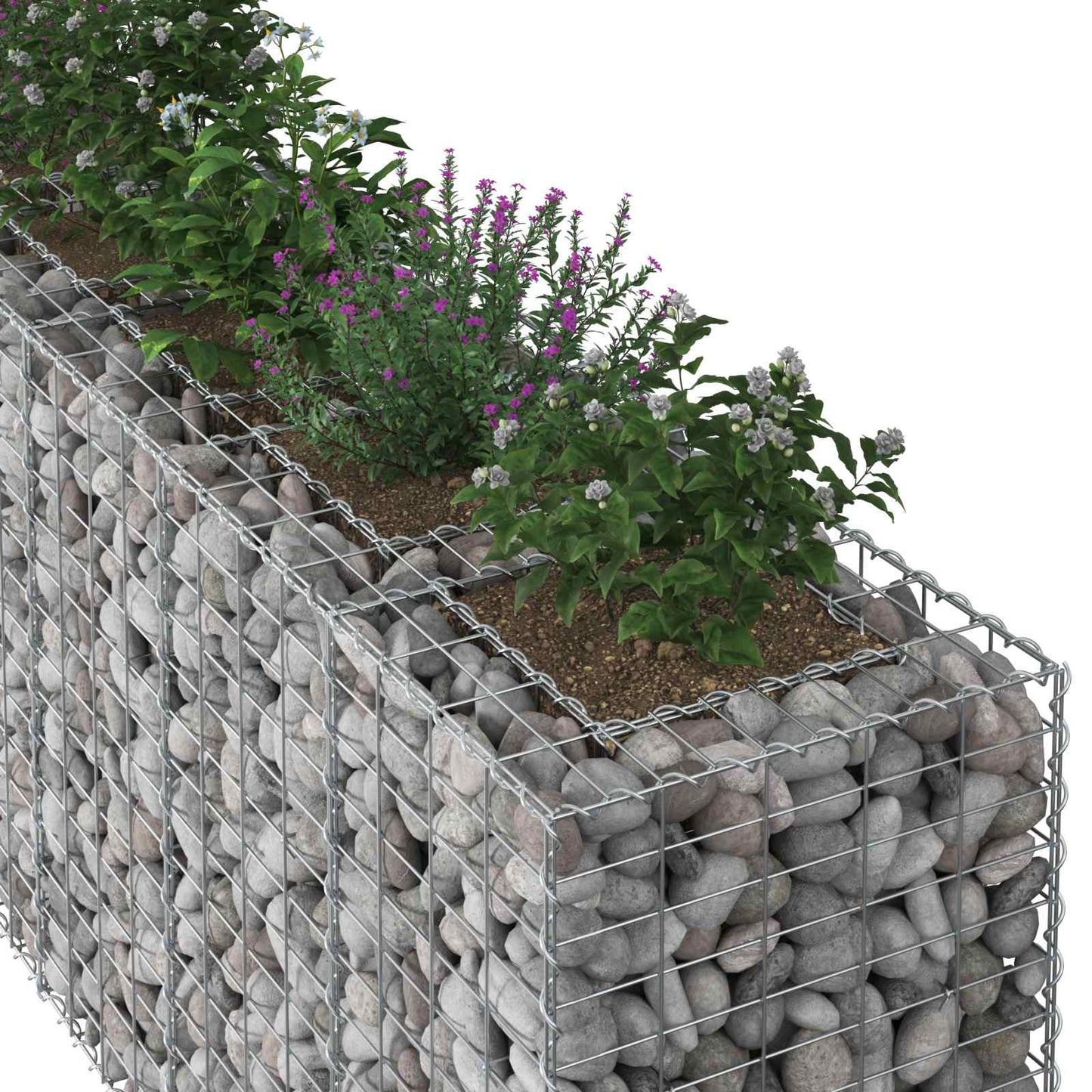 Gabion Raised Bed 2 pcs Silver 250 x 50 x 80 cm