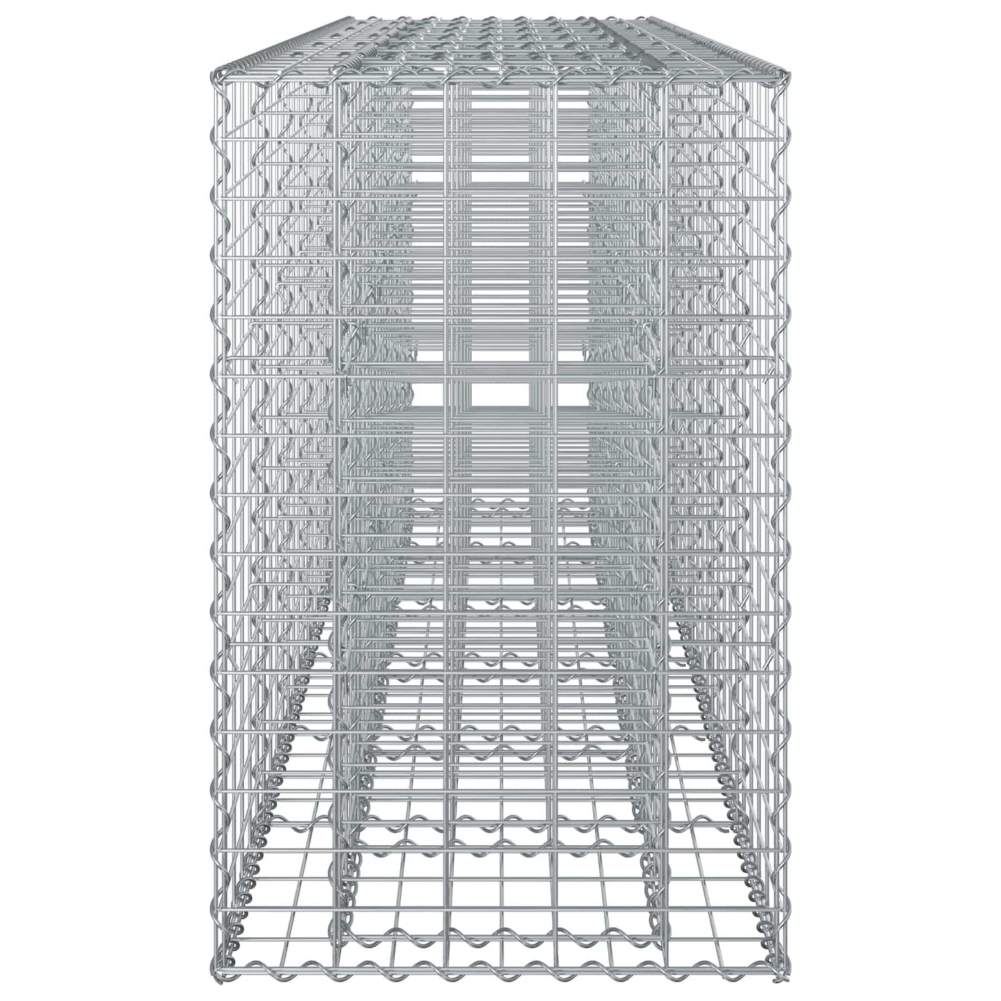 Gabion Raised Bed 2 pcs Silver 250 x 50 x 80 cm