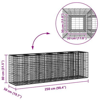 Gabion Raised Bed 2 pcs Silver 250 x 50 x 80 cm