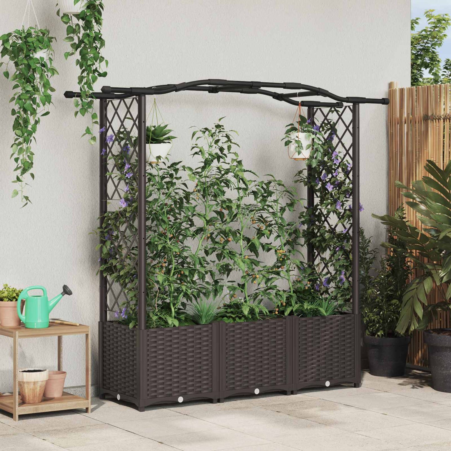 Raised Bed with Trellis and Roof Brown 164 x 40 x 142 cm PP