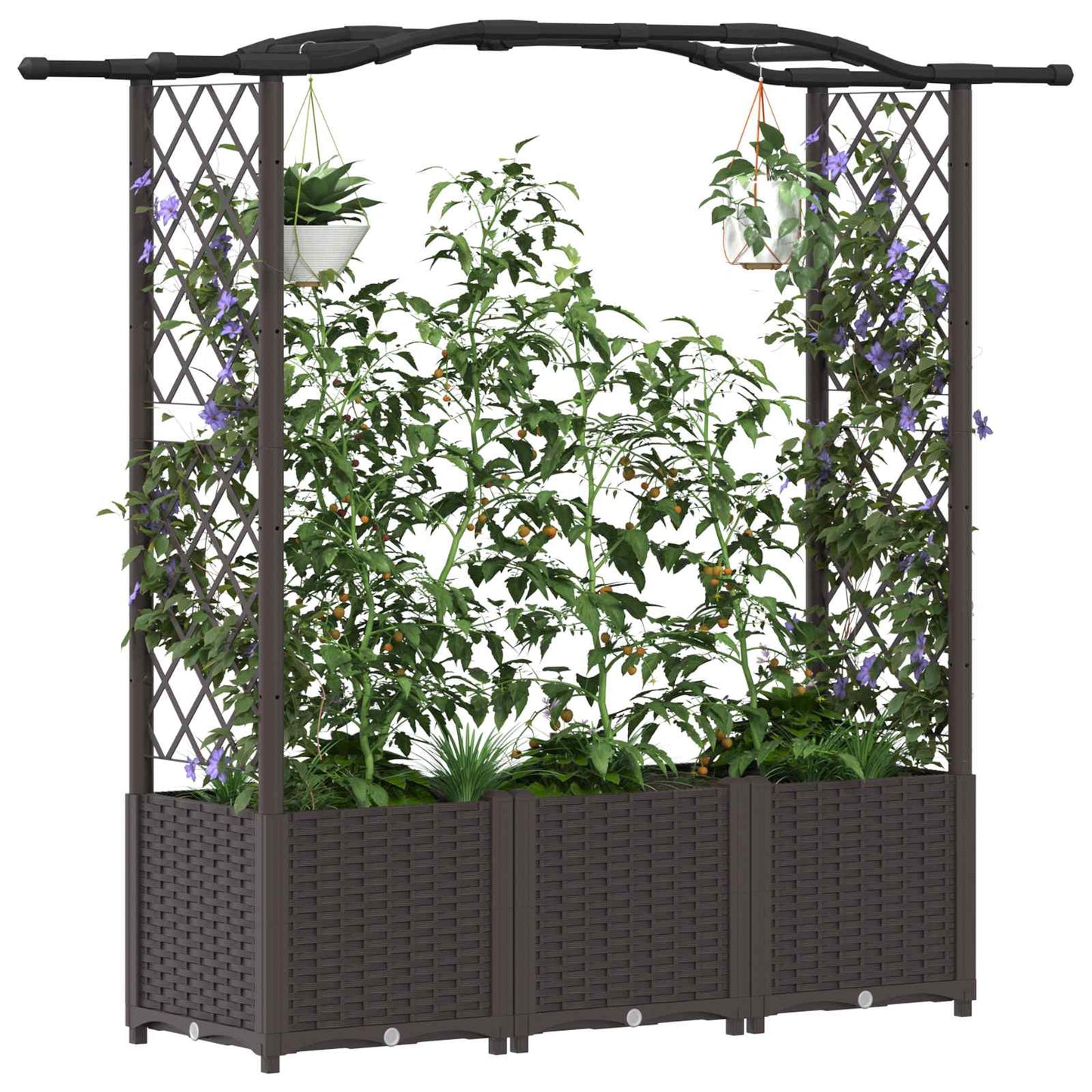 Raised Bed with Trellis and Roof Brown 164 x 40 x 142 cm PP