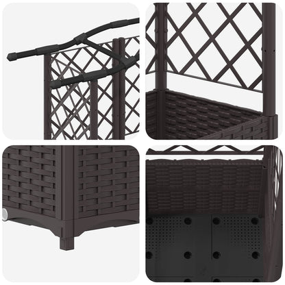 Raised Bed with Trellis and Roof Brown 163 x 40 x 141 cm PP