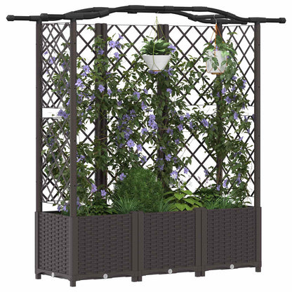 Raised Bed with Trellis and Roof Brown 163 x 40 x 141 cm PP