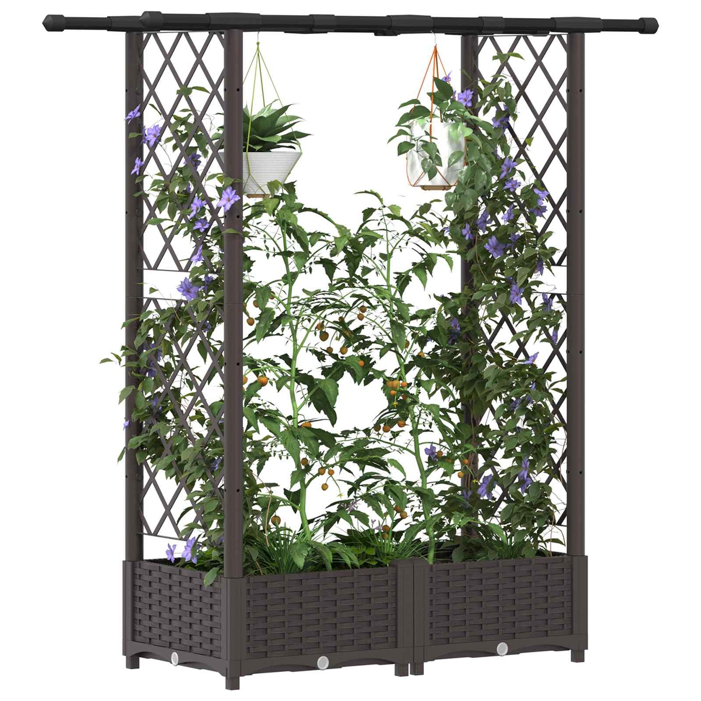 Raised Bed with Trellis and Roof Brown 122.5 x 40 x 123 cm PP