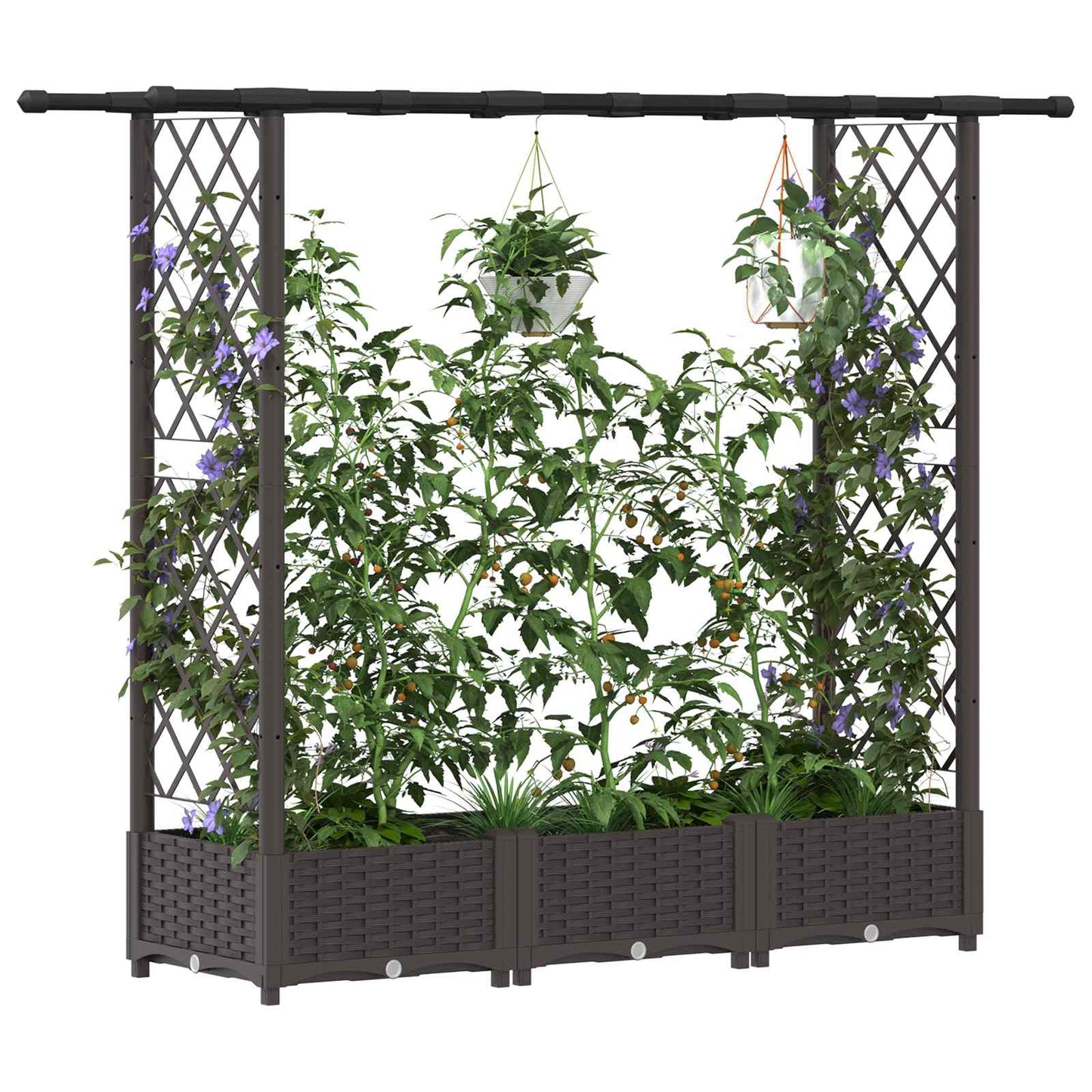 Raised Bed with Trellis and Roof Brown 164 x 40 x 123 cm PP