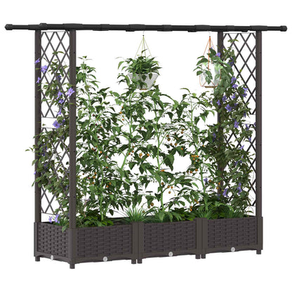 Raised Bed with Trellis and Roof Brown 164 x 40 x 123 cm PP