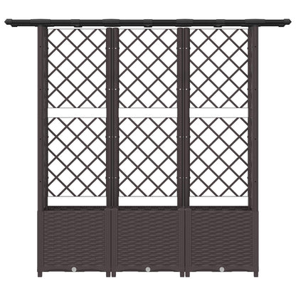 Raised Bed with Trellis and Roof Brown 162.5 x 40 x 138 cm PP