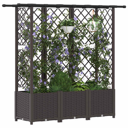 Raised Bed with Trellis and Roof Brown 163.5 x 40 x 138 cm PP